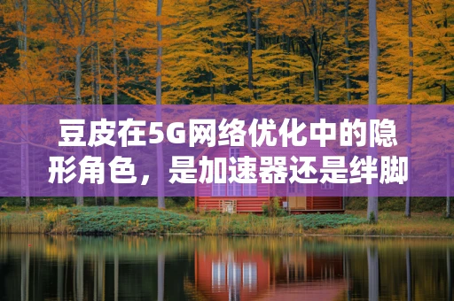 豆皮在5G网络优化中的隐形角色，是加速器还是绊脚石？