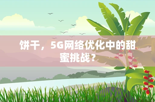 饼干，5G网络优化中的甜蜜挑战？