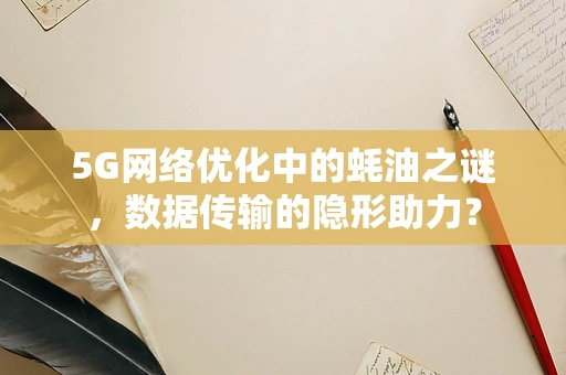 5G网络优化中的蚝油之谜，数据传输的隐形助力？
