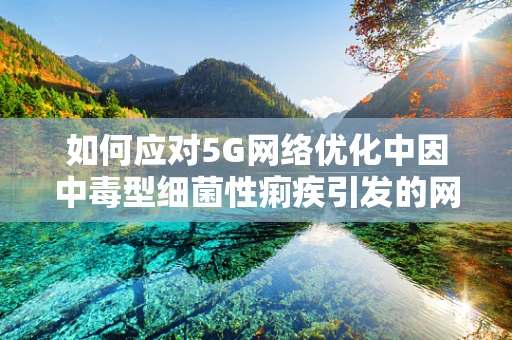 如何应对5G网络优化中因中毒型细菌性痢疾引发的网络中断问题？