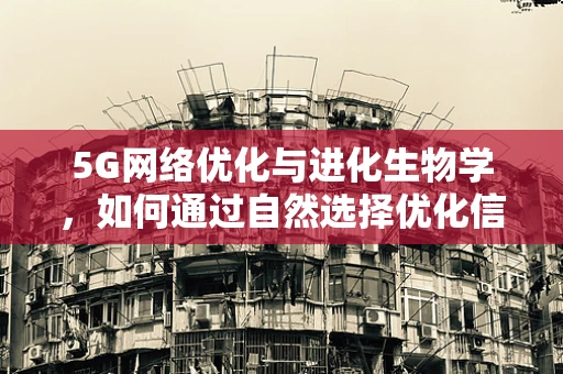 5G网络优化与进化生物学，如何通过自然选择优化信号传输？