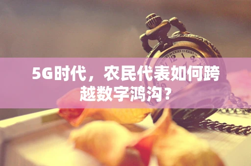 5G时代，农民代表如何跨越数字鸿沟？