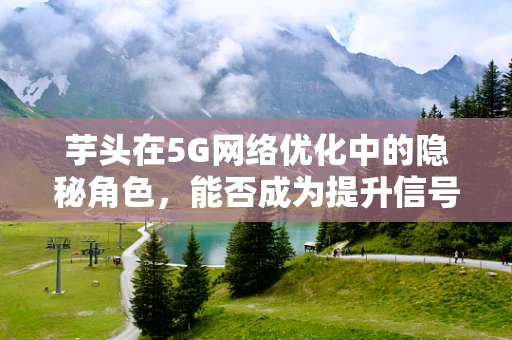 芋头在5G网络优化中的隐秘角色，能否成为提升信号覆盖的‘秘密武器’？