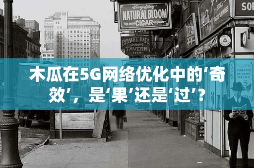 木瓜在5G网络优化中的‘奇效’，是‘果’还是‘过’？