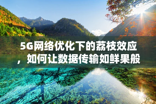 5G网络优化下的荔枝效应，如何让数据传输如鲜果般流畅？