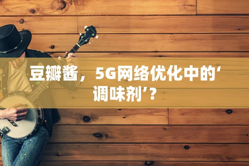 豆瓣酱，5G网络优化中的‘调味剂’？