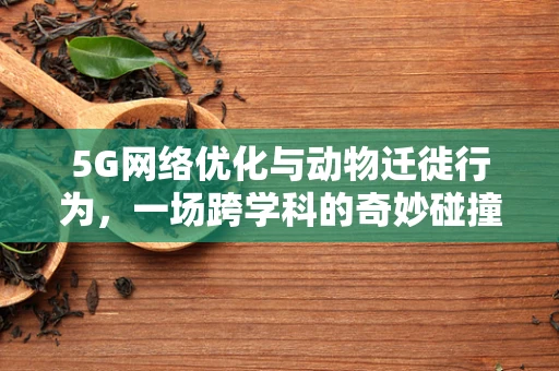 5G网络优化与动物迁徙行为，一场跨学科的奇妙碰撞