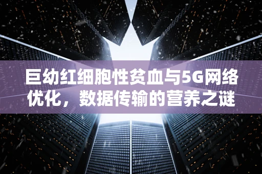 巨幼红细胞性贫血与5G网络优化，数据传输的营养之谜