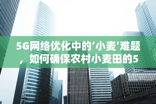 5G网络优化中的‘小麦’难题，如何确保农村小麦田的5G信号覆盖？