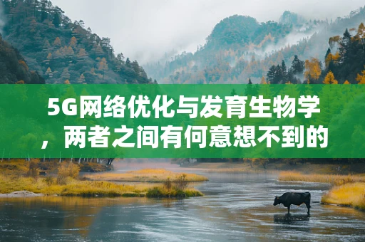 5G网络优化与发育生物学，两者之间有何意想不到的交集？