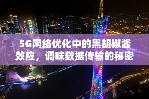 5G网络优化中的黑胡椒酱效应，调味数据传输的秘密？