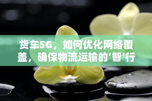 货车5G，如何优化网络覆盖，确保物流运输的‘智’行无阻？
