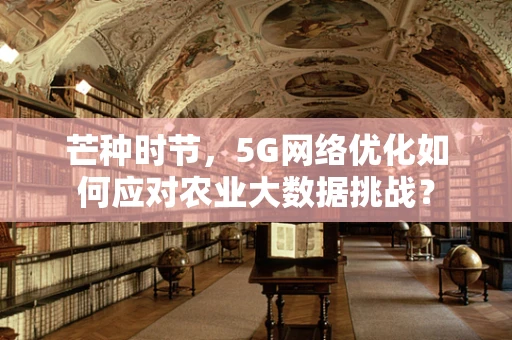 芒种时节，5G网络优化如何应对农业大数据挑战？