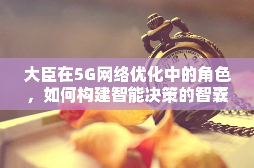 大臣在5G网络优化中的角色，如何构建智能决策的智囊团？