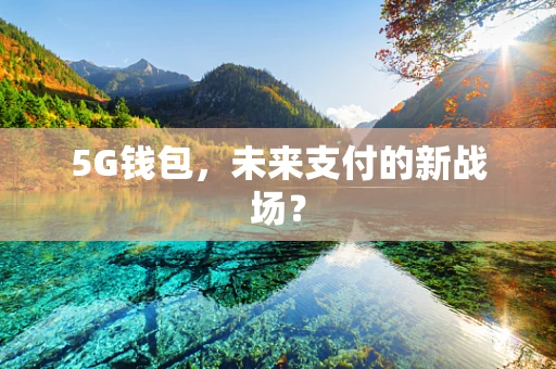 5G钱包，未来支付的新战场？
