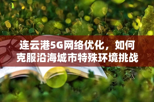连云港5G网络优化，如何克服沿海城市特殊环境挑战？