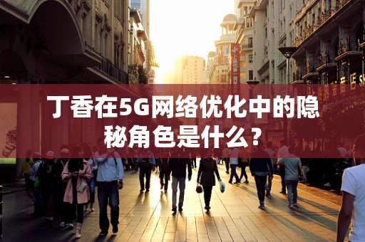 丁香在5G网络优化中的隐秘角色是什么？