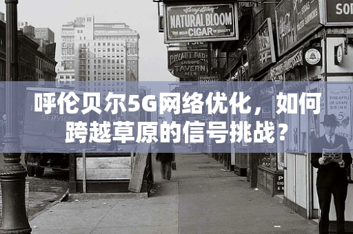 呼伦贝尔5G网络优化，如何跨越草原的信号挑战？