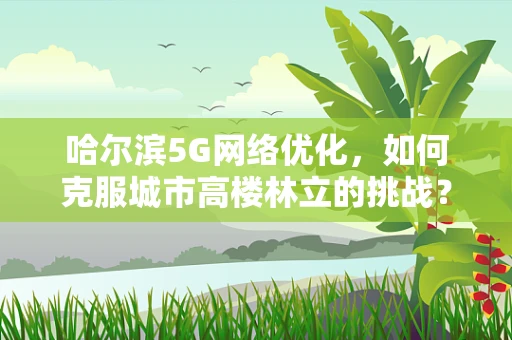 哈尔滨5G网络优化，如何克服城市高楼林立的挑战？