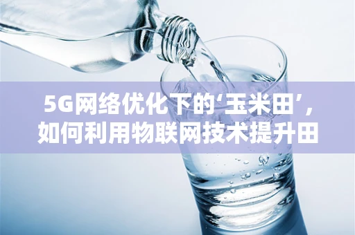 5G网络优化下的‘玉米田’，如何利用物联网技术提升田间管理效率？