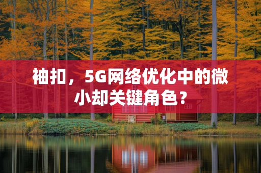 袖扣，5G网络优化中的微小却关键角色？