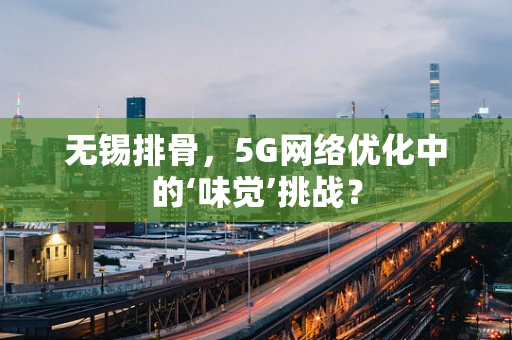 无锡排骨，5G网络优化中的‘味觉’挑战？