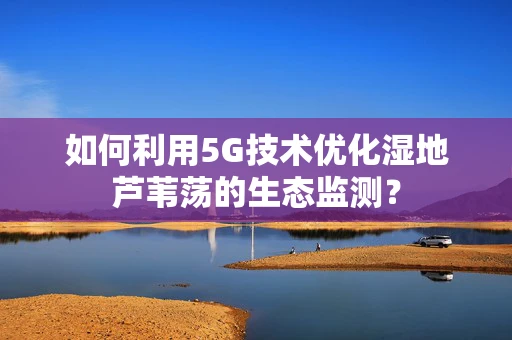 如何利用5G技术优化湿地芦苇荡的生态监测？