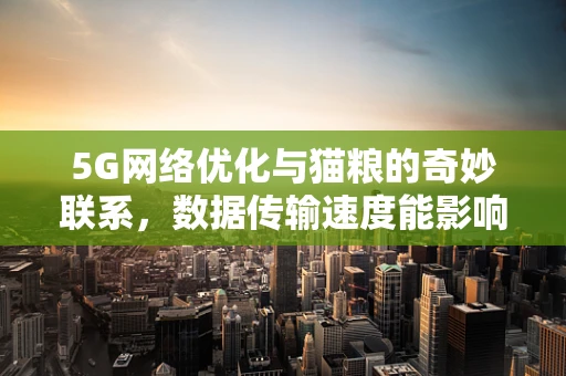 5G网络优化与猫粮的奇妙联系，数据传输速度能影响宠物健康吗？