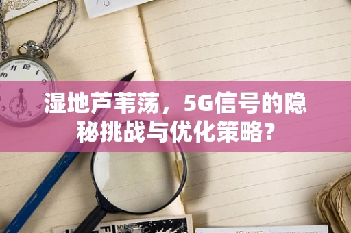 湿地芦苇荡，5G信号的隐秘挑战与优化策略？