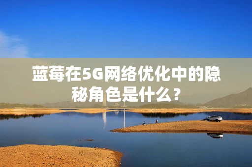 蓝莓在5G网络优化中的隐秘角色是什么？