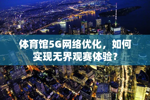体育馆5G网络优化，如何实现无界观赛体验？