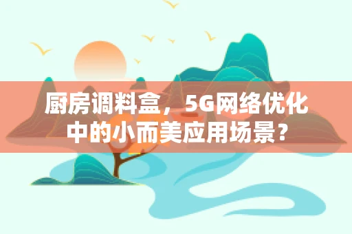 厨房调料盒，5G网络优化中的小而美应用场景？