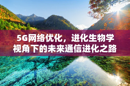 5G网络优化，进化生物学视角下的未来通信进化之路