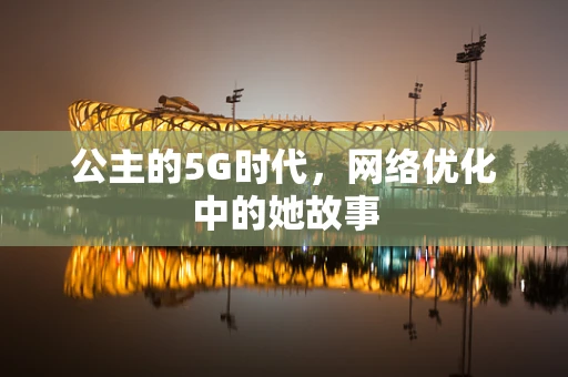 公主的5G时代，网络优化中的她故事