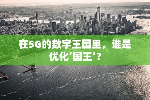在5G的数字王国里，谁是优化‘国王’？