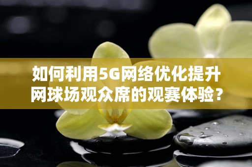 如何利用5G网络优化提升网球场观众席的观赛体验？