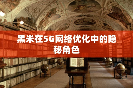 黑米在5G网络优化中的隐秘角色
