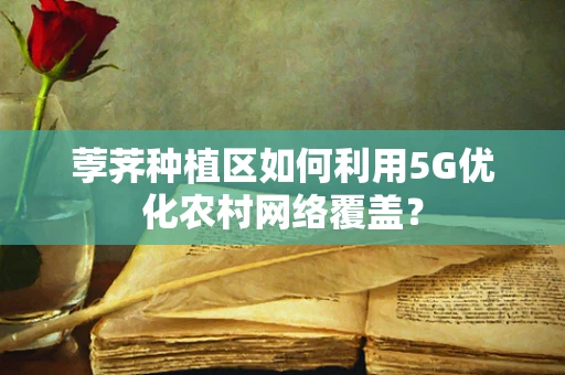 荸荠种植区如何利用5G优化农村网络覆盖？