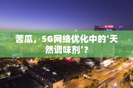 苦瓜，5G网络优化中的‘天然调味剂’？