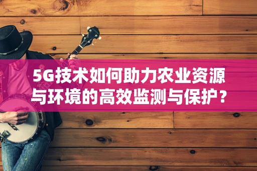 5G技术如何助力农业资源与环境的高效监测与保护？
