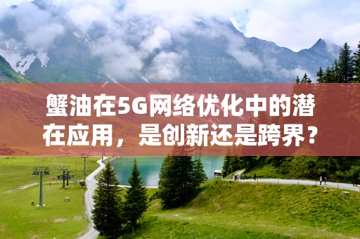 蟹油在5G网络优化中的潜在应用，是创新还是跨界？
