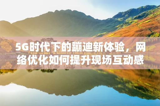 5G时代下的蹦迪新体验，网络优化如何提升现场互动感？