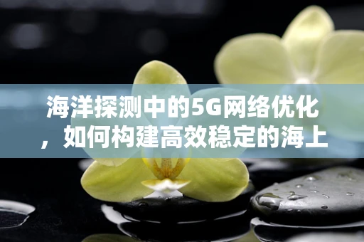 海洋探测中的5G网络优化，如何构建高效稳定的海上数据传输网络？