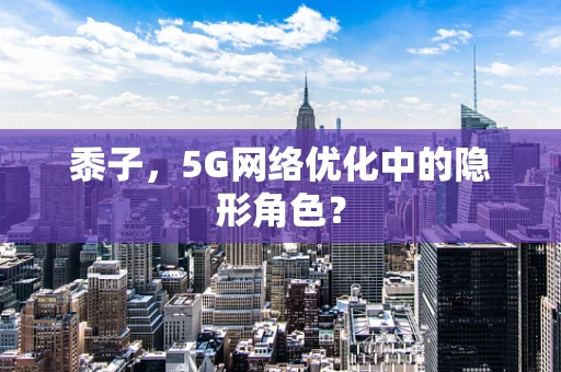 黍子，5G网络优化中的隐形角色？