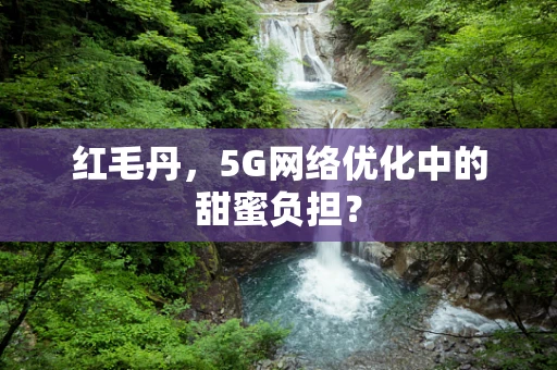 红毛丹，5G网络优化中的甜蜜负担？