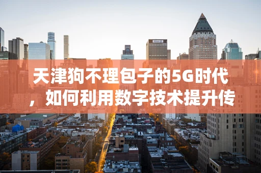 天津狗不理包子的5G时代，如何利用数字技术提升传统美食的魅力？
