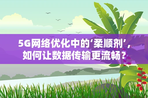 5G网络优化中的‘柔顺剂’，如何让数据传输更流畅？