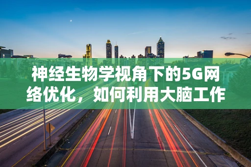 神经生物学视角下的5G网络优化，如何利用大脑工作原理提升用户体验？