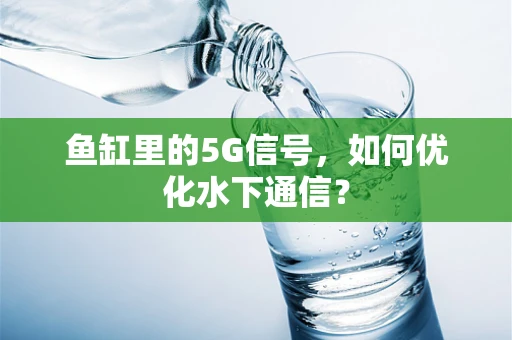 鱼缸里的5G信号，如何优化水下通信？