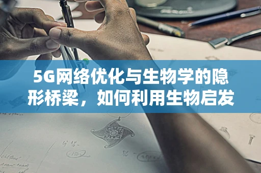 5G网络优化与生物学的隐形桥梁，如何利用生物启发的算法提升网络性能？